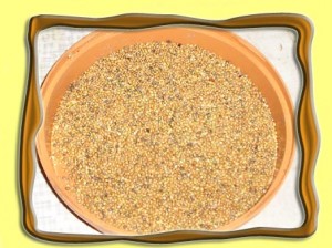 Obrázok